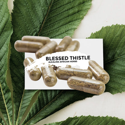 Wild Blessed Thistle